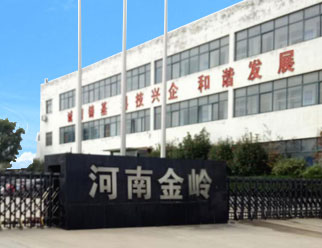 立友斗式提升機(jī)